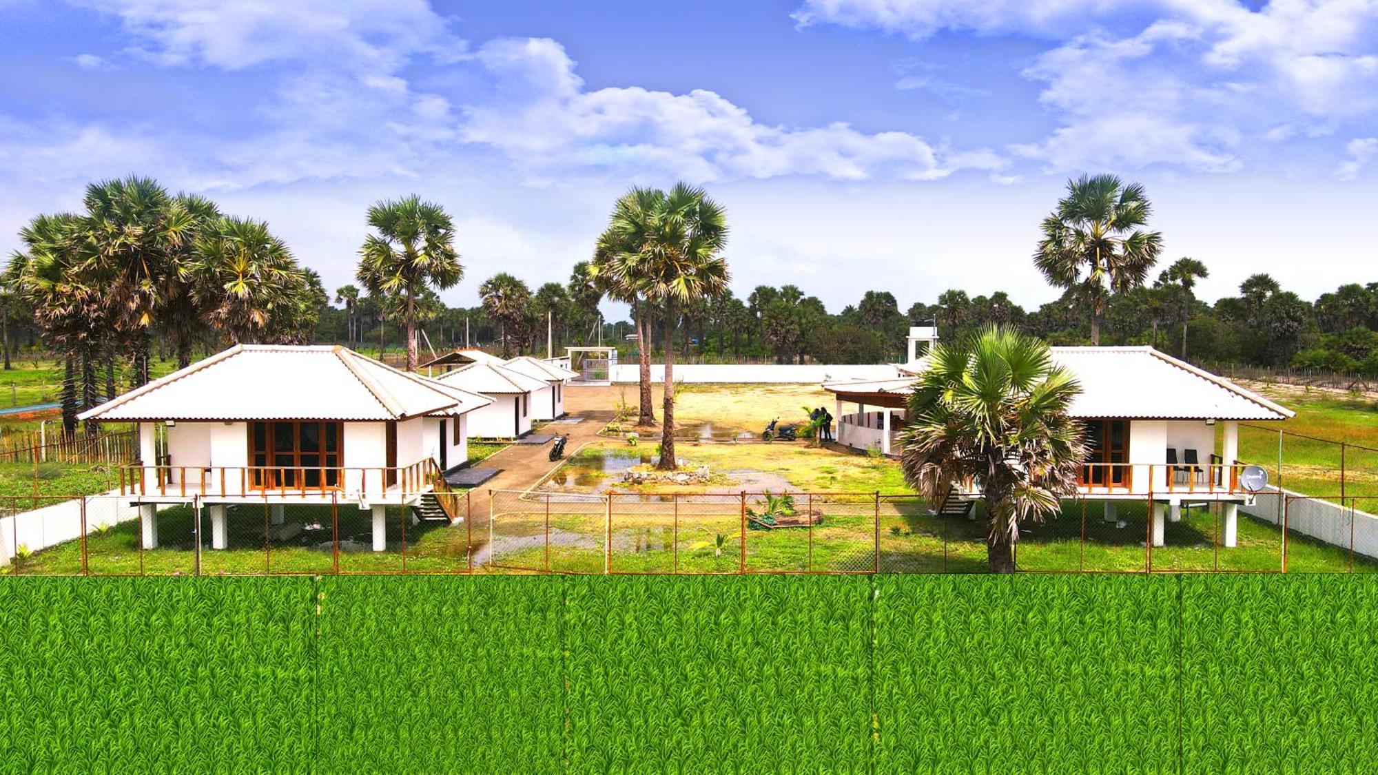 Palm Beach Resort Ceylon جافنا المظهر الخارجي الصورة